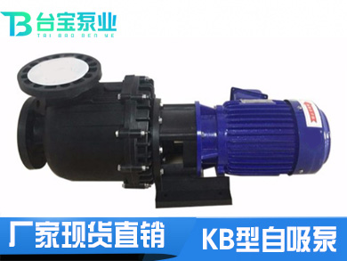 耐酸碱自吸泵,KB型同轴耐酸碱自吸泵-台宝泵业